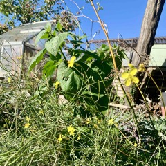 Just How The Day….