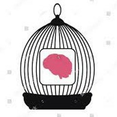 Locked In a Cell - RealamaticSnippet