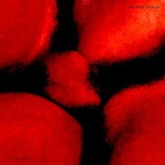 I Will Never Give Up (Poem)2021