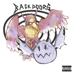 BACKDOORS!