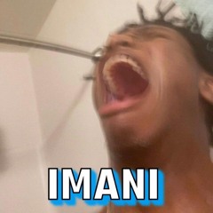The Paradox - Imani