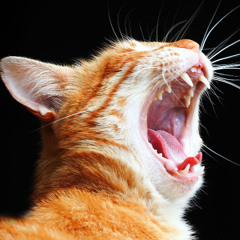 My type of club! - Club Mix 2