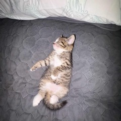 ты лейм feat sttraw(prod by truett2x)