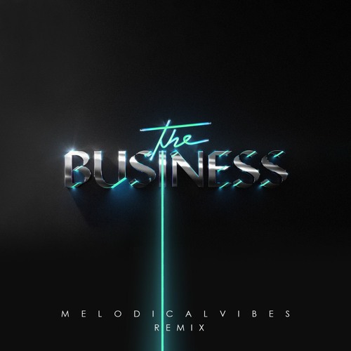 Tiesto - The Business (MelodicalVibes Remix Ft. NAJA)