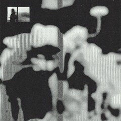 Trismus - Weird Looking Fellah | HYSEP60