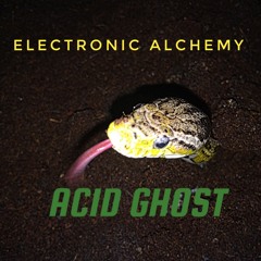 ACID GHOST