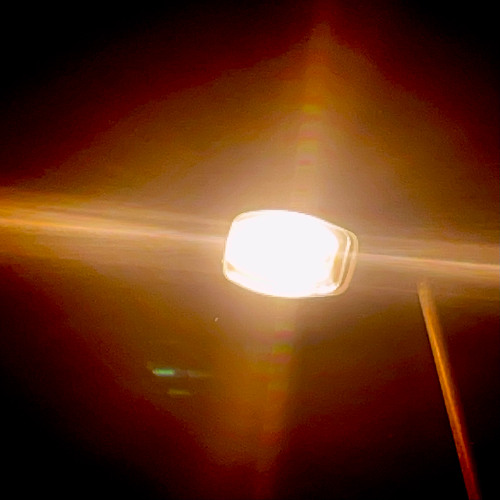 2 am, alone with my dog