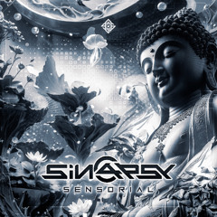 Sinapsy - Affected Senses