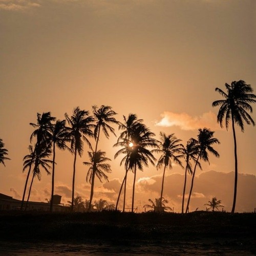 Stream Jav Grojas | Listen to Journey to Lake Palm playlist online for ...