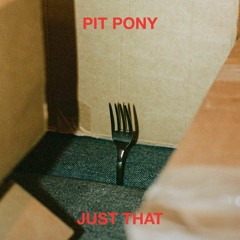 PIT PONY - JUST THAT
