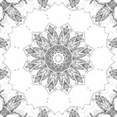 Ang Album Demo X With Love