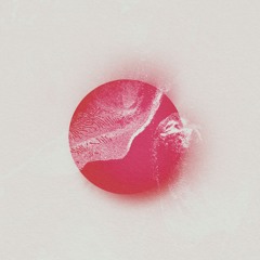 Manatee Commune - Mosaic