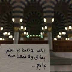 ادخلوا في السلم كافّة.