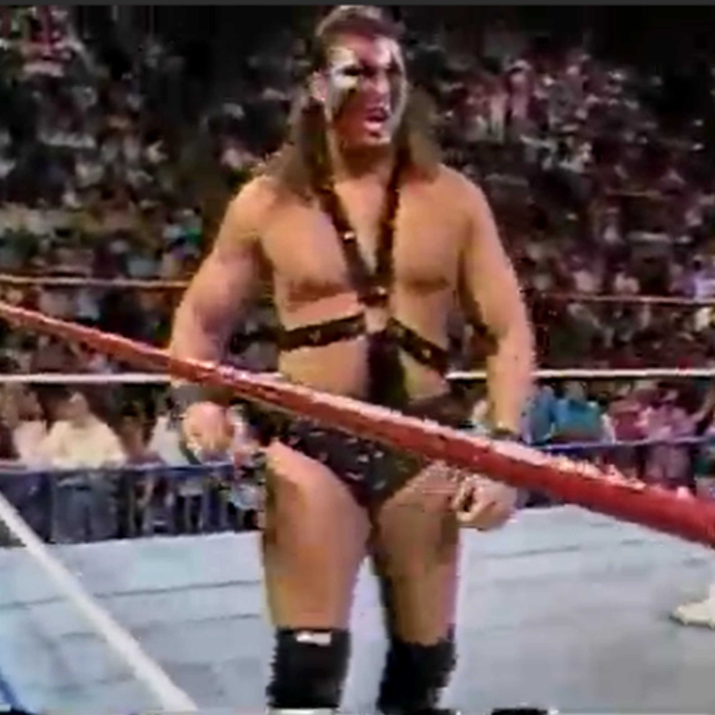 GFA Live #252: WWF Superstars 06-23-1990 (Debut of Demolition Crush) GFA Live #252: WWF Superstars 06-23-1990 (Debut of Demolition Crush)