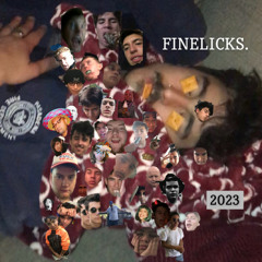 FINELICKS 2023