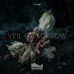 TWAS 007 Veil of Sorrow - montage
