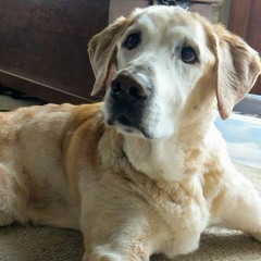 Still Rolling Stone 05152022