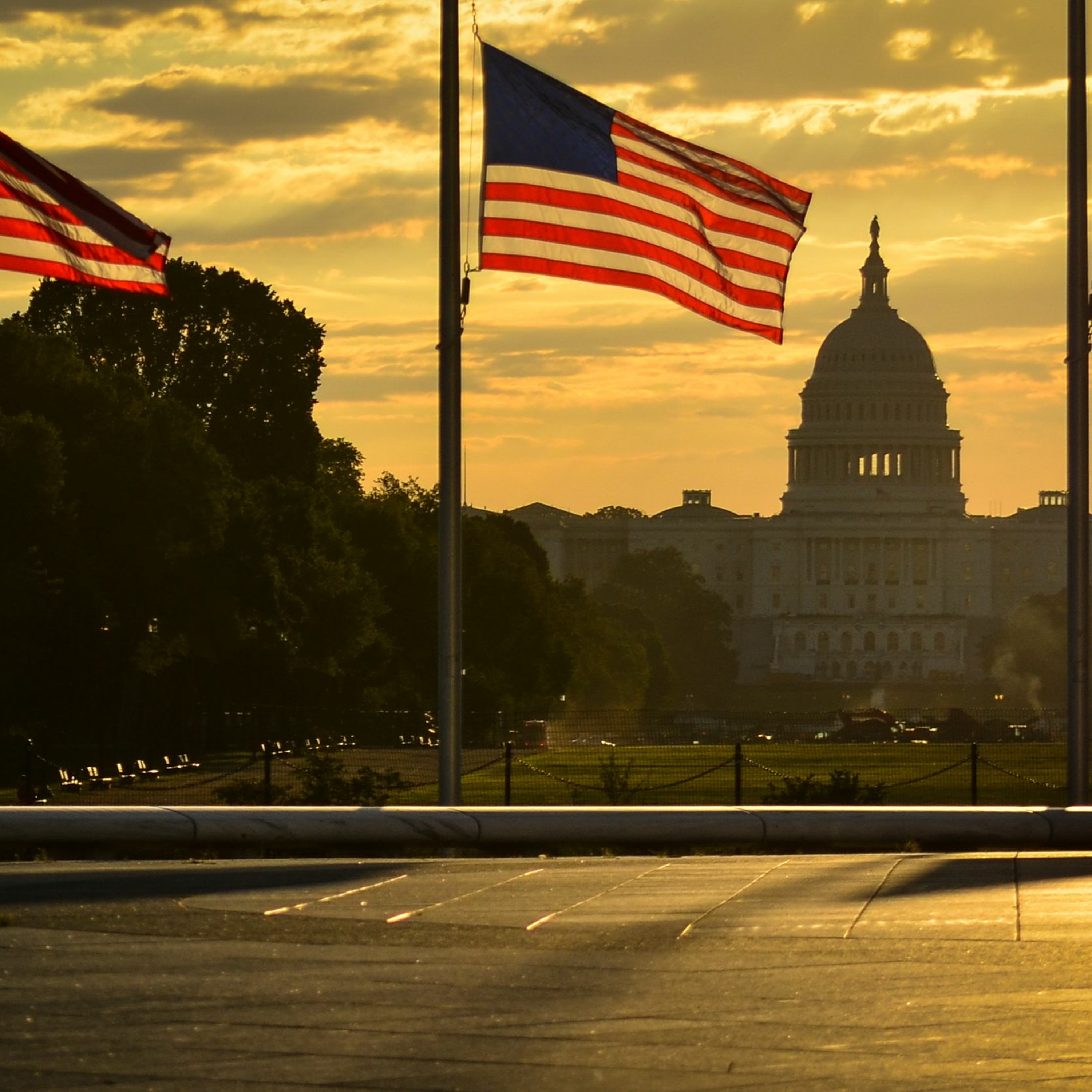 The Science of Politics