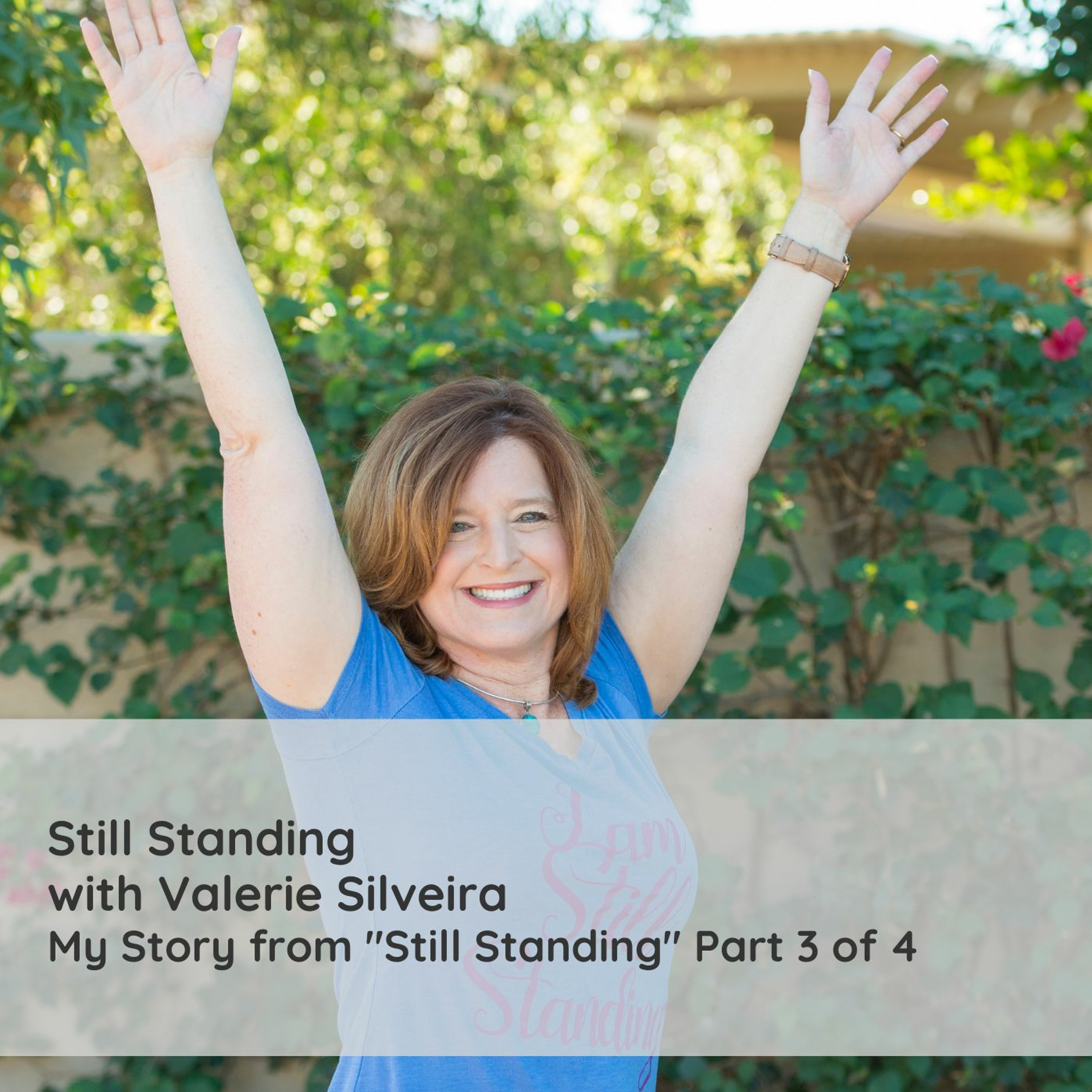 My Story SS Book Episode 3 of 4