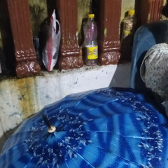 Kotak sampah