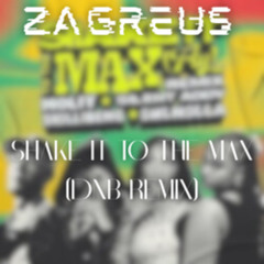 SHAKE IT TO THE MAX - (ZAGREUS REMIX)