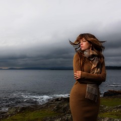 Demo (cover): Birds and Ships