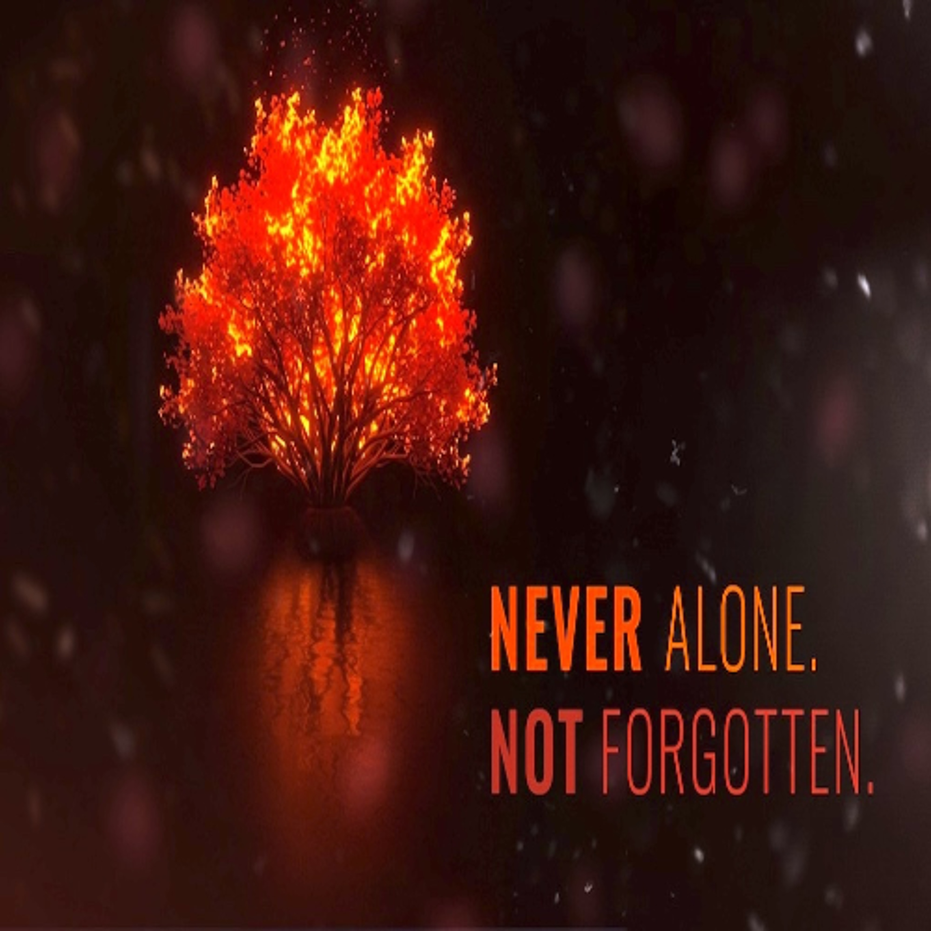 Hope Church  - Never Alone. Never Forgotten_ God With Us - 12_14_25 episode artwork