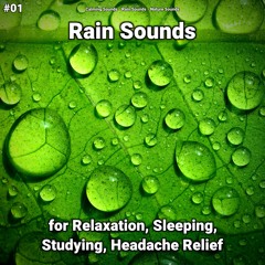 Rain Sounds No Music