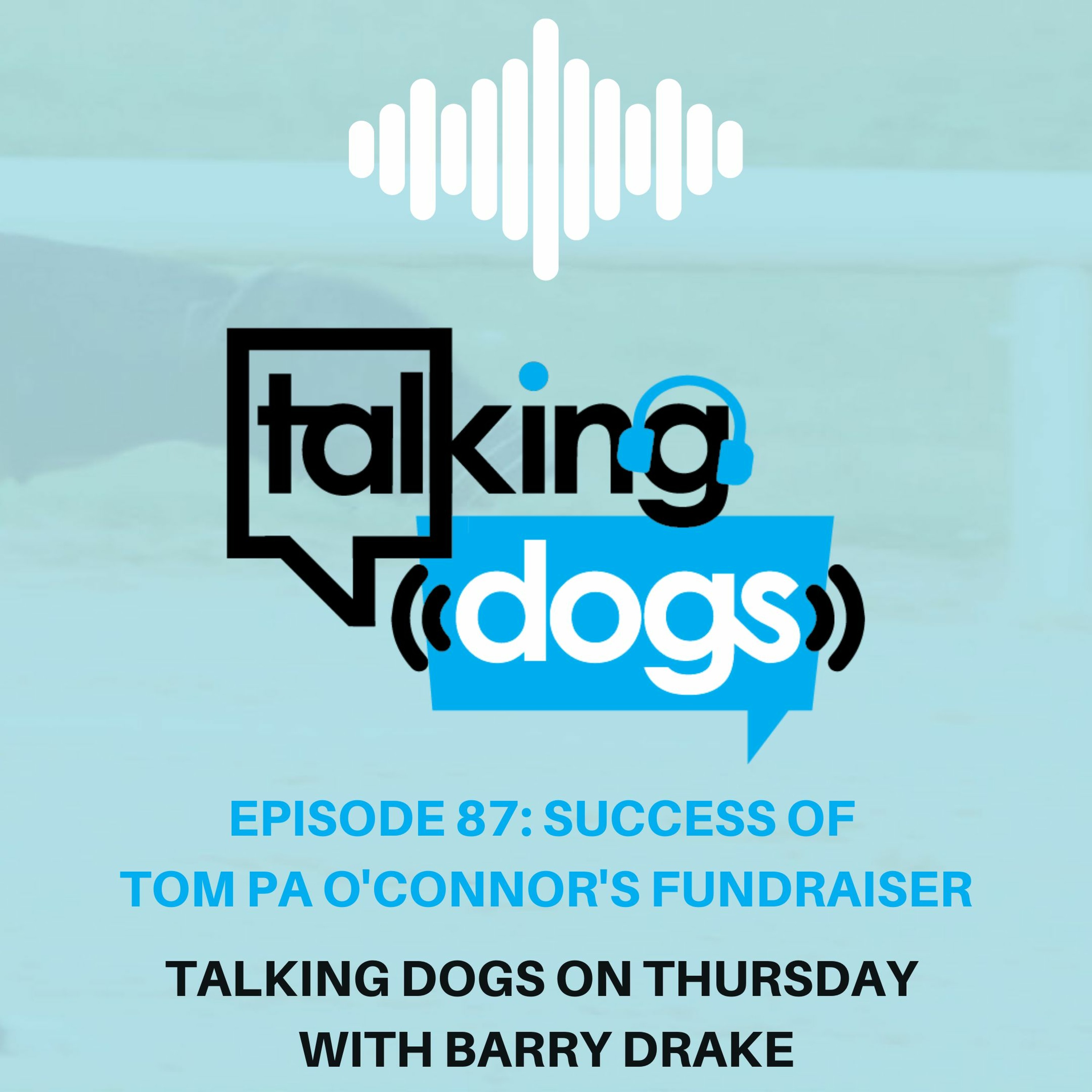 Talking Dogs on Thursday