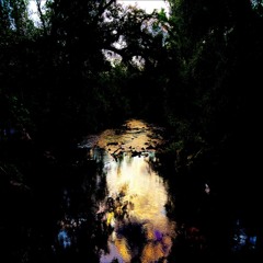 Best Friends / Family