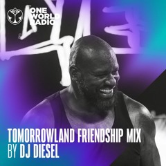 Tomorrowland Friendship Mix by DJ Diesel — April 2023