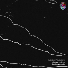 Vintage Culture - Tudo Bem, Tudo Bom (Bestrawa Remix)