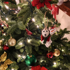 Feliz Navidad  Cover - Letty Isabel