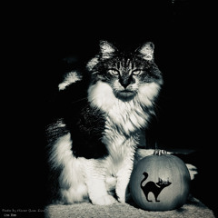 Is You Coo (Sexyy Red) DJ MURAYASU Remix