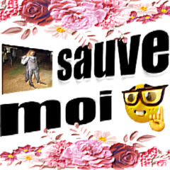 Sauve Moi