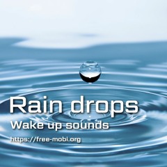 Rain drops - Wake up sounds