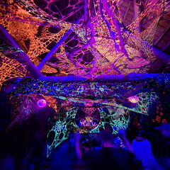 Commander Data @ Bruchlandung im Märchenwald (01.09.24) - Sunday Morning Dark/Forest/Darkprog Dj-Set