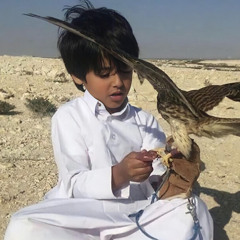 ‎⁨افرح بربعي / قوم لهم في المجد سيرة وكتاب⁩