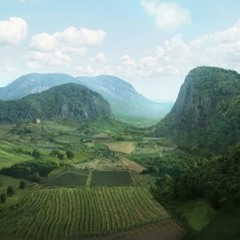 Choral Music I-VI, a capella (Napoleon Total War OST)