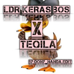 LDR X TEQILA.DONY_NANDA.edit.mp3