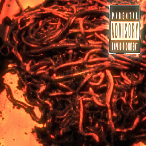delicious flow (p. arealg)