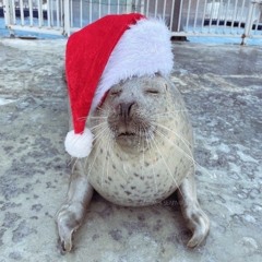 December solo samples (joathxn)