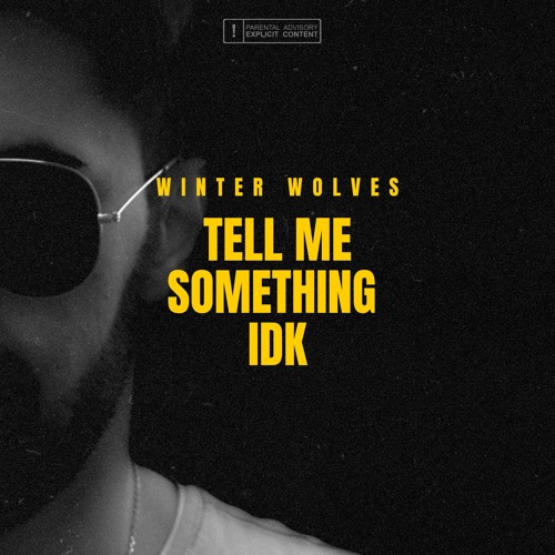 winter wolves_Tell Me Something IDK (official audio)