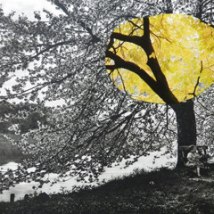 damnit! w/  2juugs @j4c06