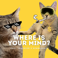 WHERE IS YOUR MIND - PAUL THAESLER X HIMBEERE!S EDIT