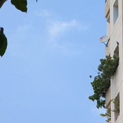 chiều
