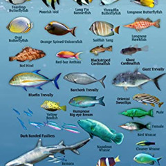 Get PDF 📦 Maldives Ocean Creatures Waterproof Fish Identification Card 4x6 by  Frank