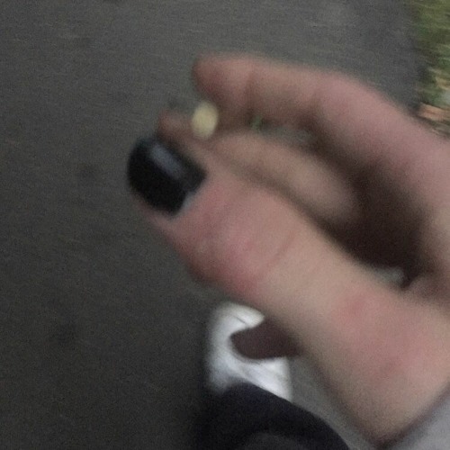 on the nod (prod. greaf)