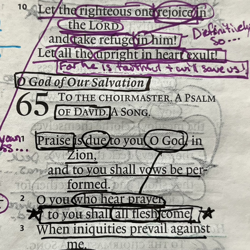 Psalm 65 - Mike Neff - (G, Em, C, G)