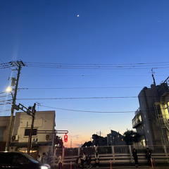 東京 kinokoteikoku cover